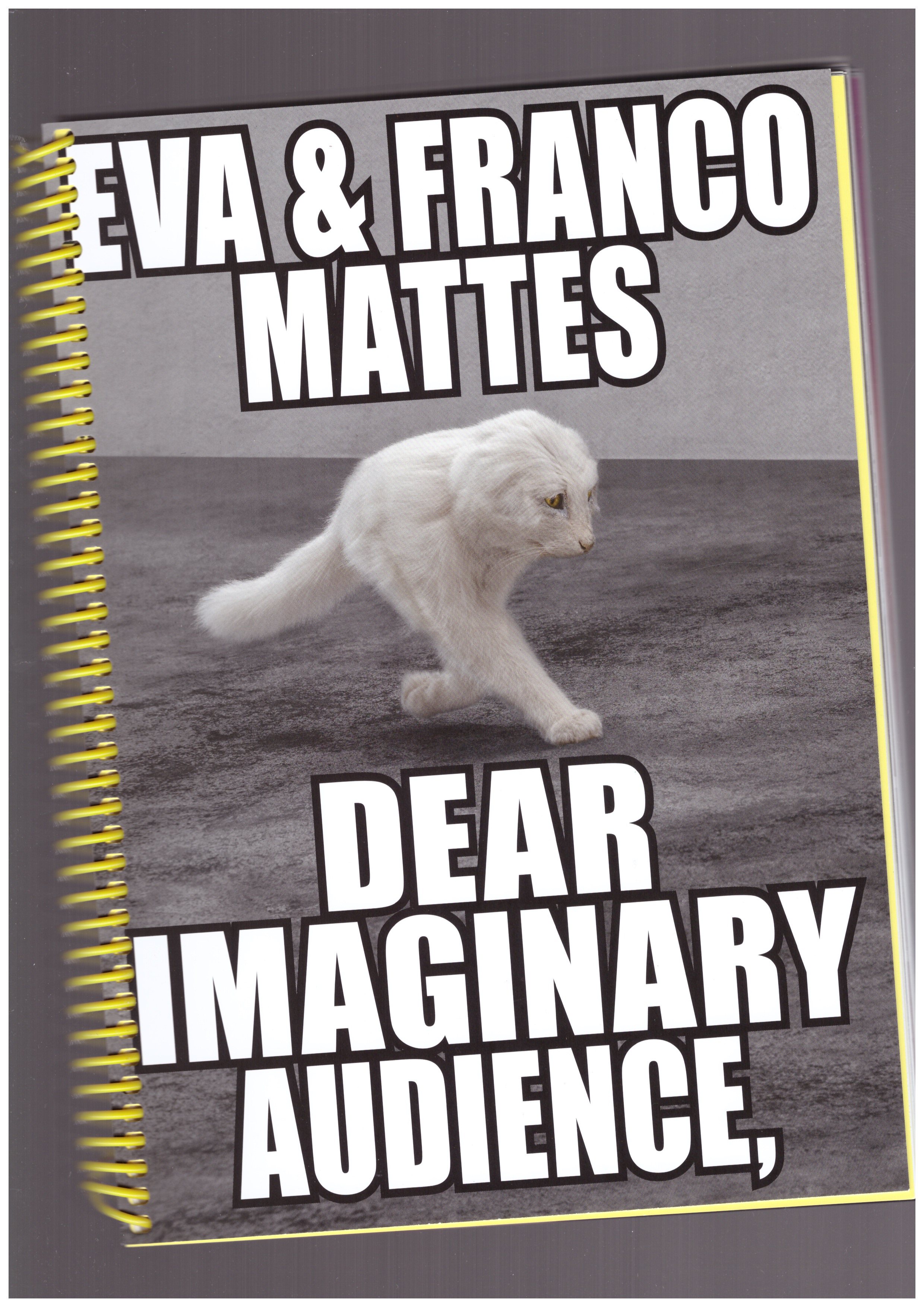 MATTES, Eva & Franco - Dear Imaginary Audience